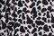 1 Yard Black and White Cow Print Stretch Fabric for Costume Swimwear Dancewear and Activewear 58/60" Width